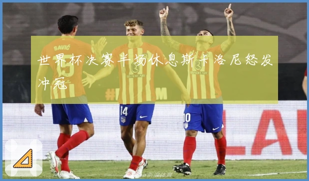 世界杯决赛半场休息斯卡洛尼怒发冲冠